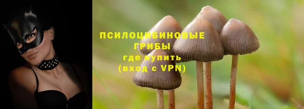 стаф Белокуриха