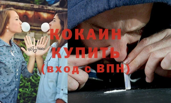 шишки Богородск
