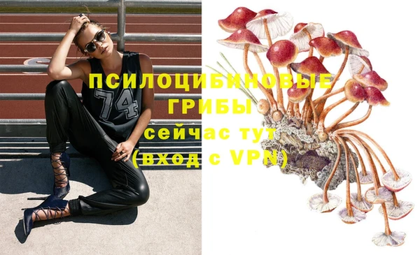 мет Богданович