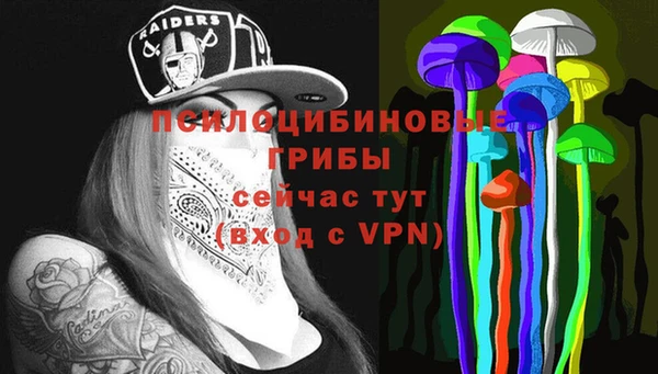 стаф Белокуриха