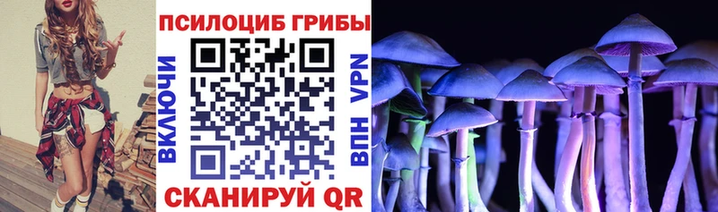 Галлюциногенные грибы прущие грибы  Боровичи 
